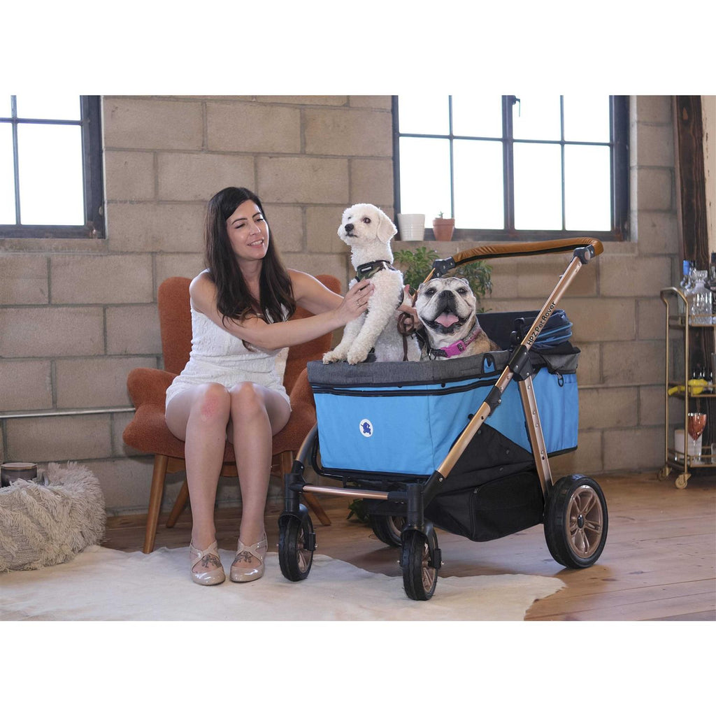 Pet Stroller W208310