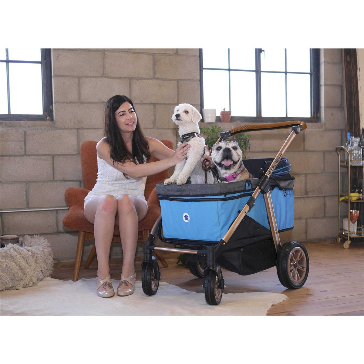 Pet Stroller W208310