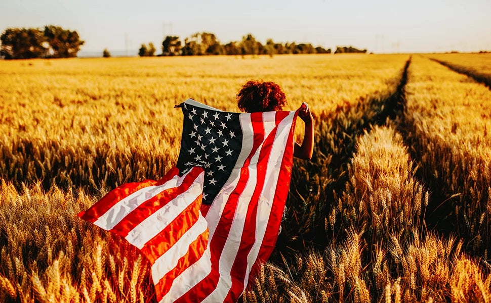 10x15 FT Nylon American Flag with Embroidered Stars R702268