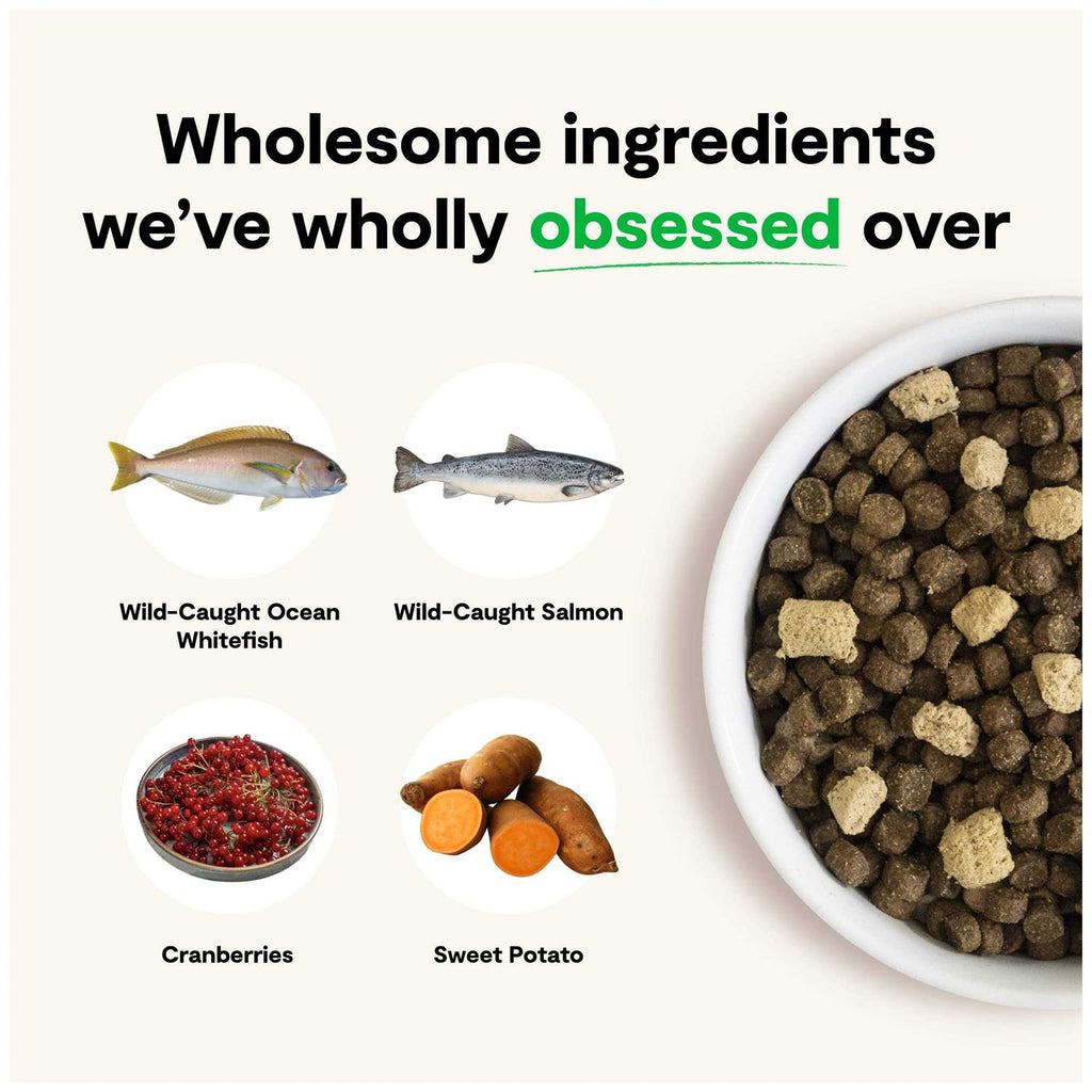 Grain-Free Dog Food G336477