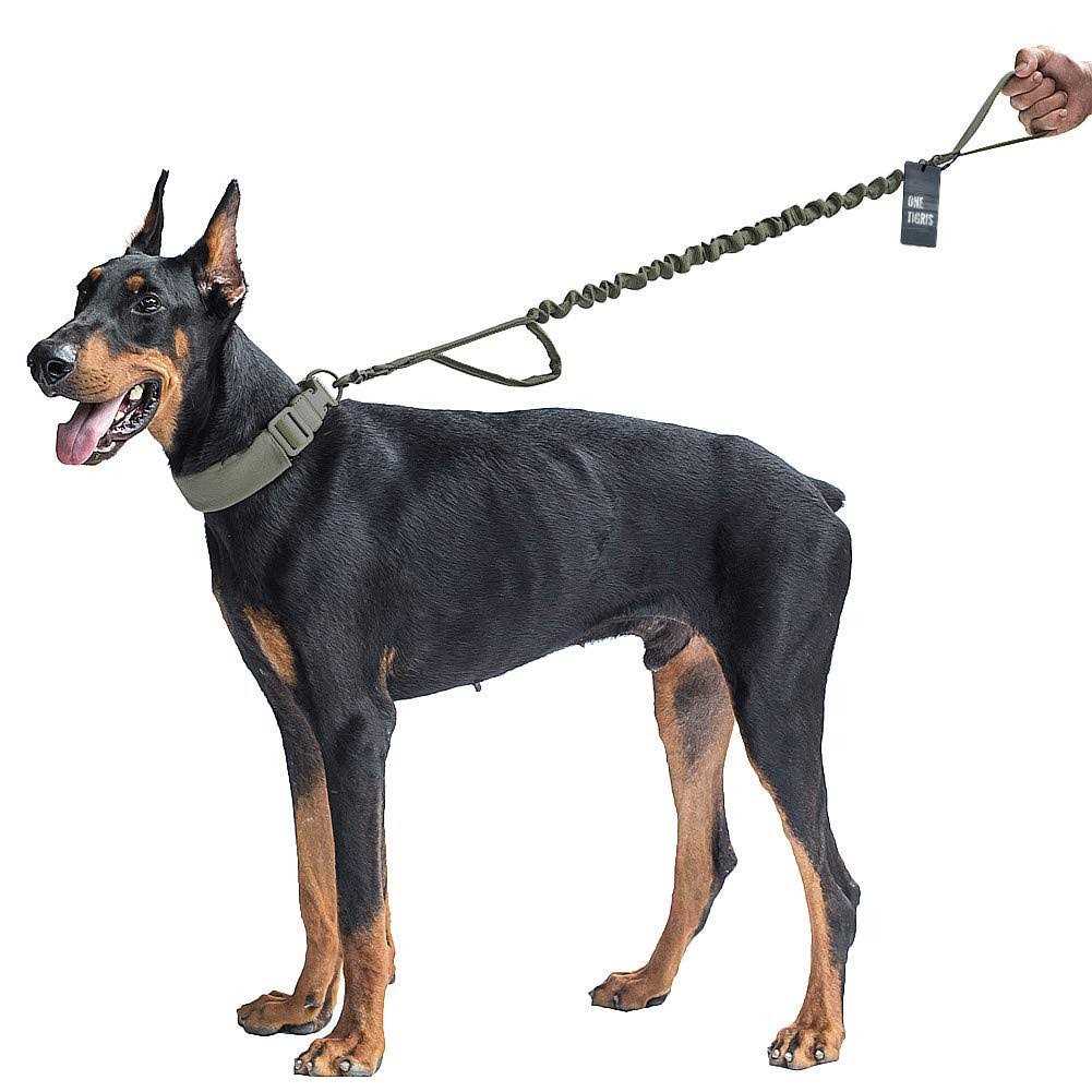 Tactical Dog Training Bungee Leash with 2 Control Handle Nylon Leads Rope A8949