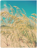 Canvas Art 24x32 W652281