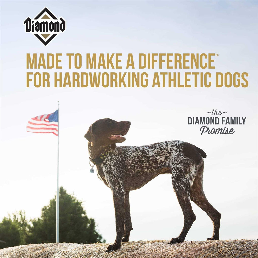 Dry Dog Food D7500