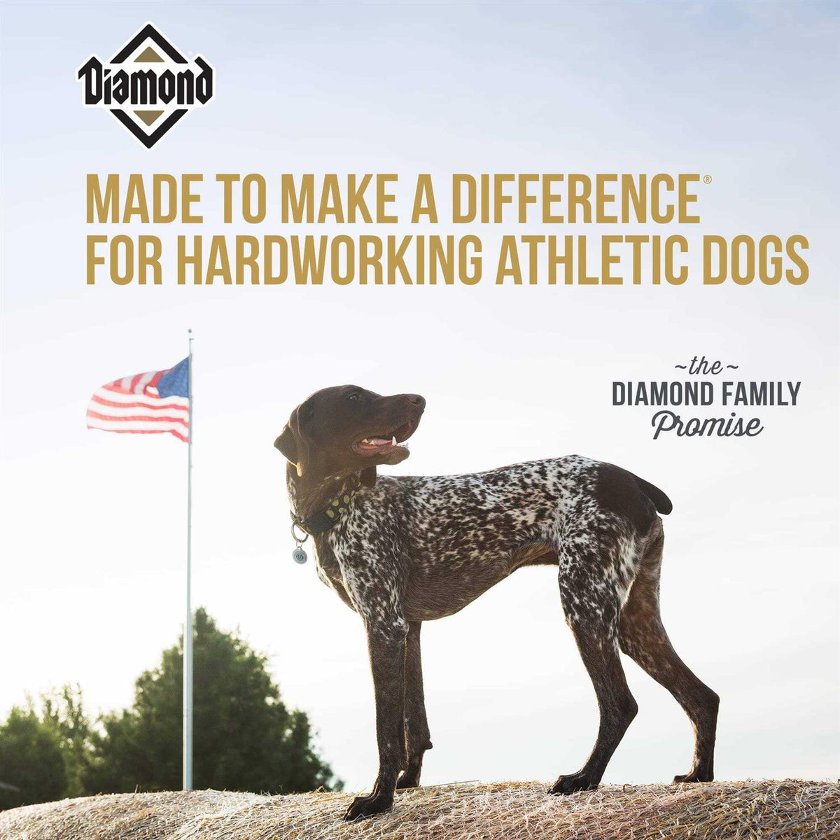 Dry Dog Food D7500