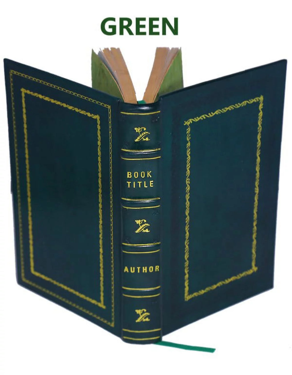 Leather Bound I121
