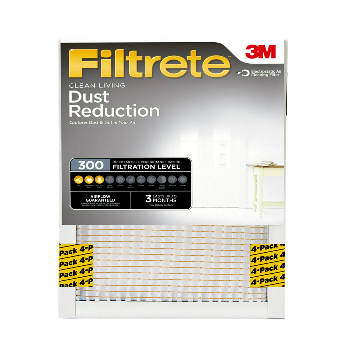 20x30x1 Air Filter, MERV 5, 4 Filters T8048