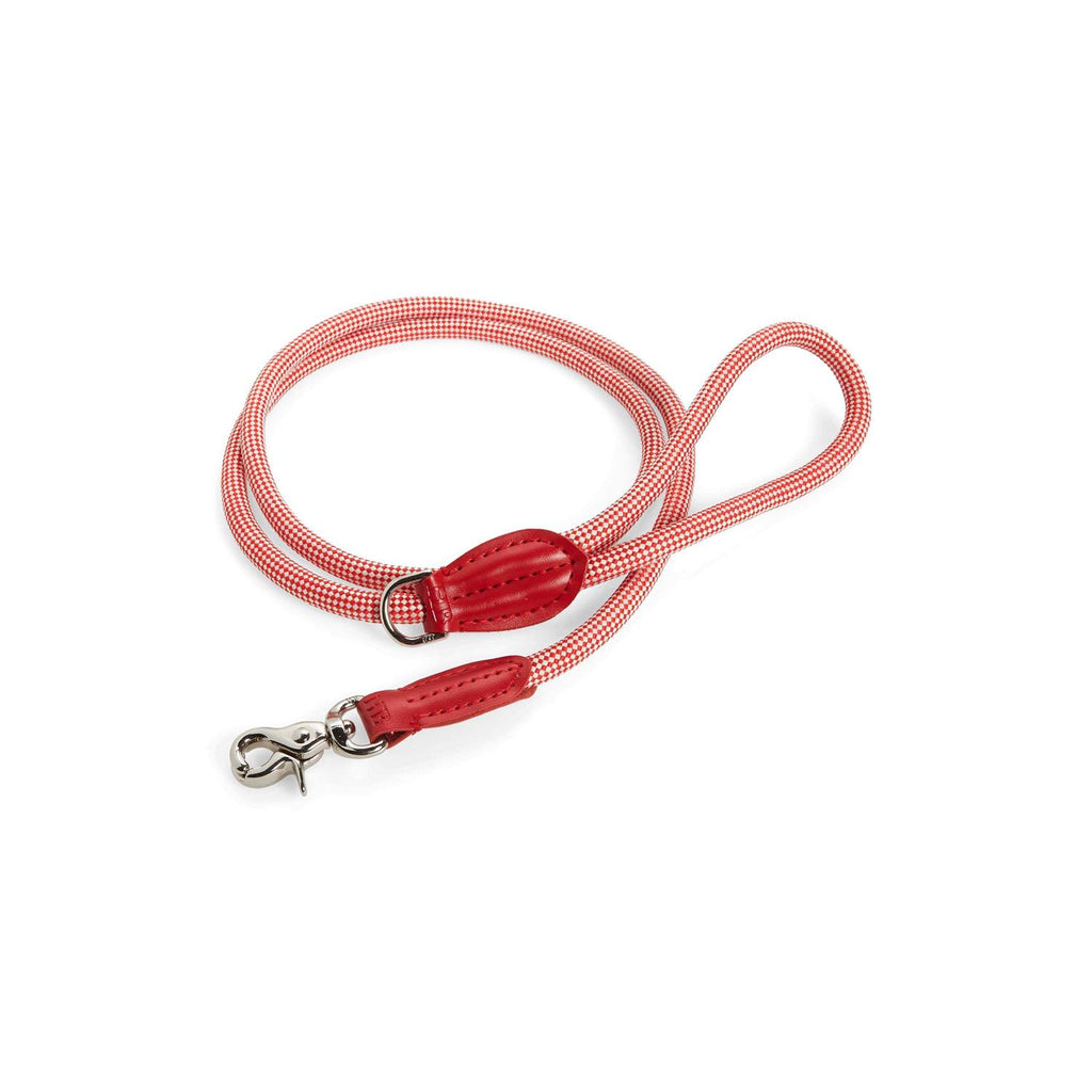 Check Rope Dog Leash B921785