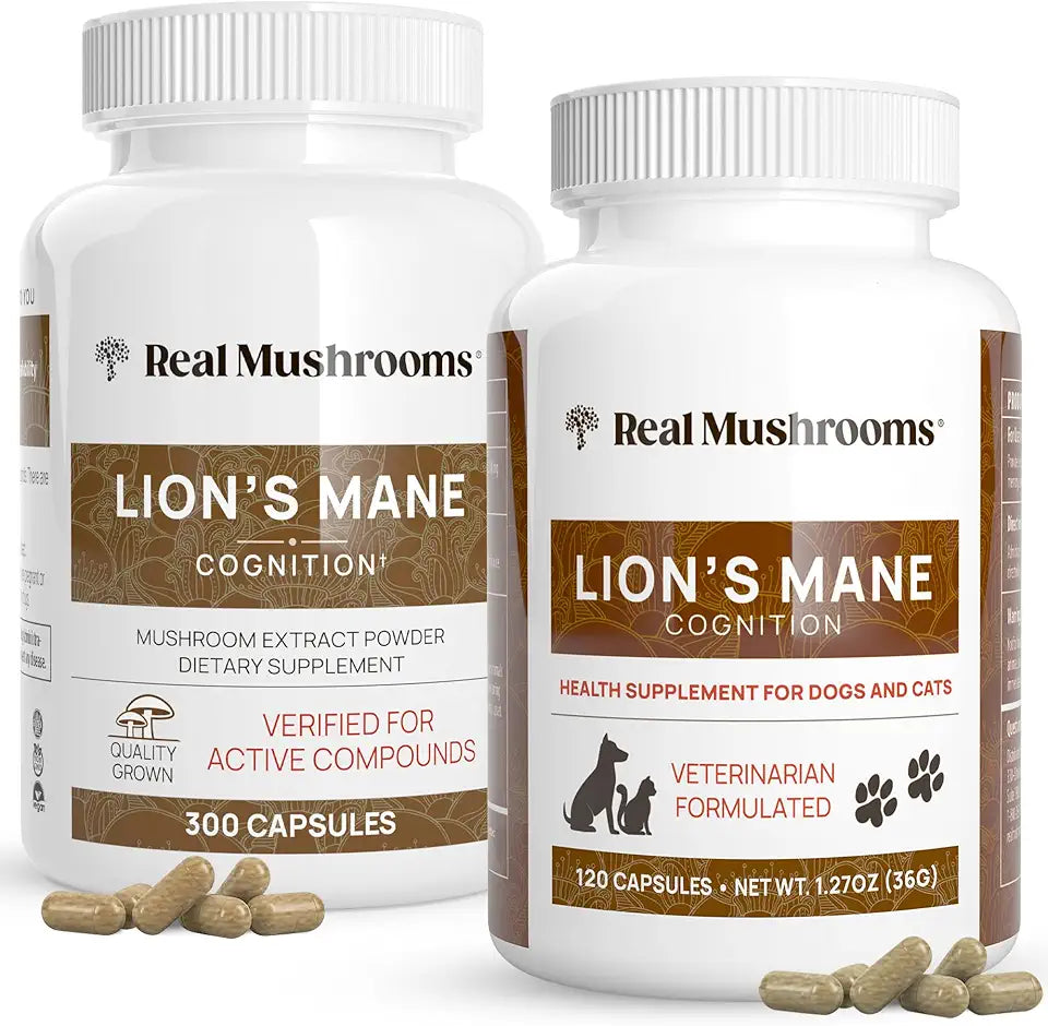 Lions Mane Mushroom Extract Supplements U691324