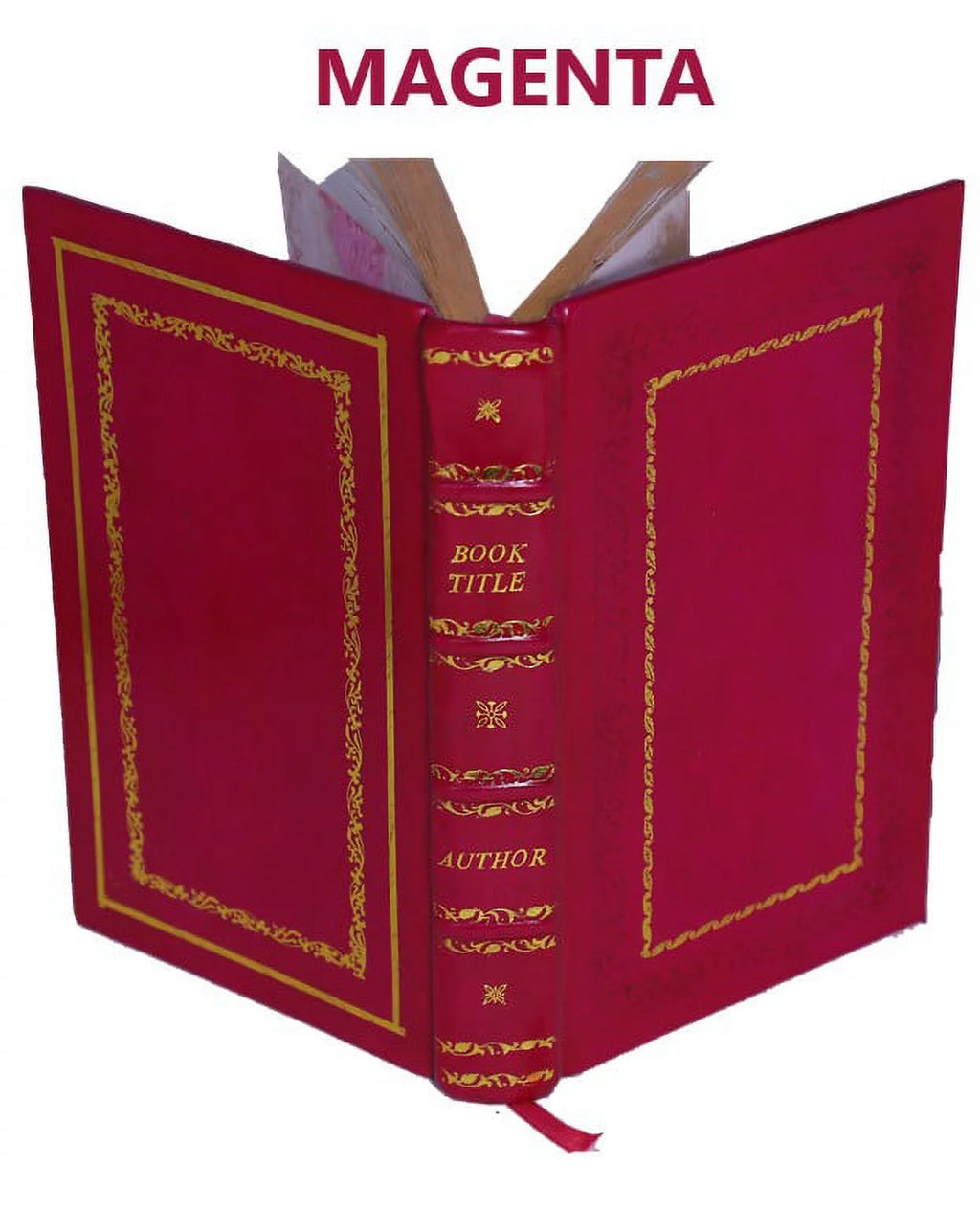 Leather Bound I121