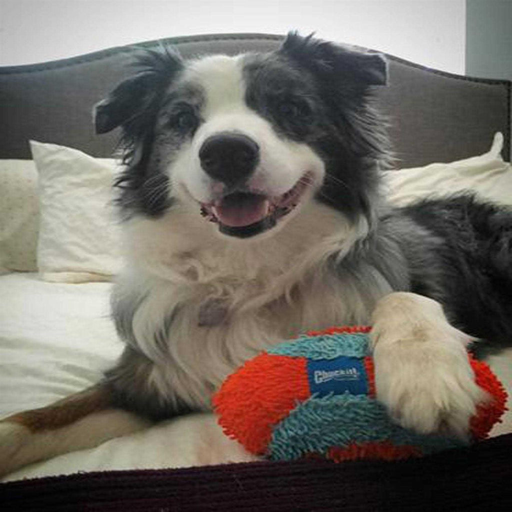 Dog Toy X9620
