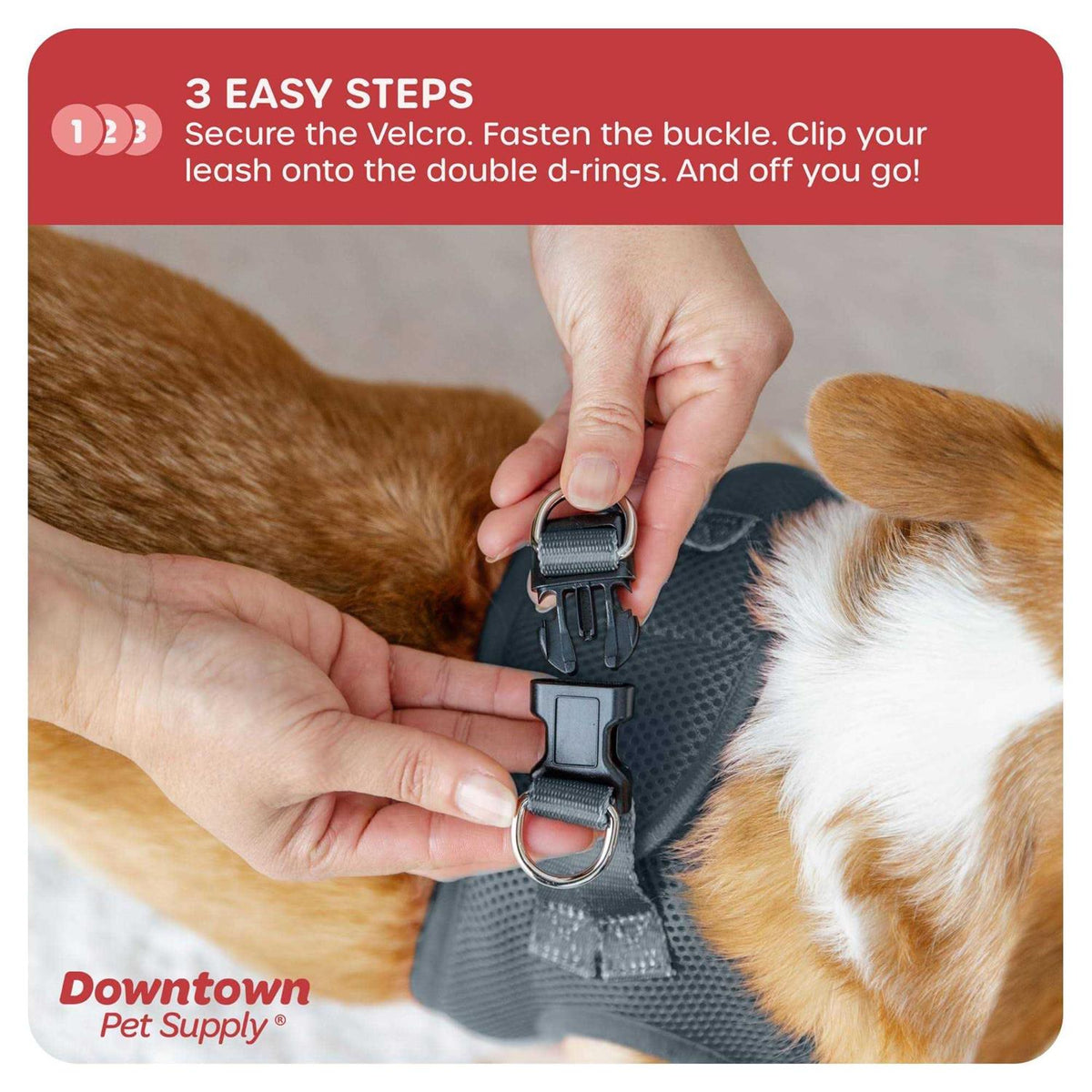 Step in Dog Harness for Small Dogs No Pull W73479