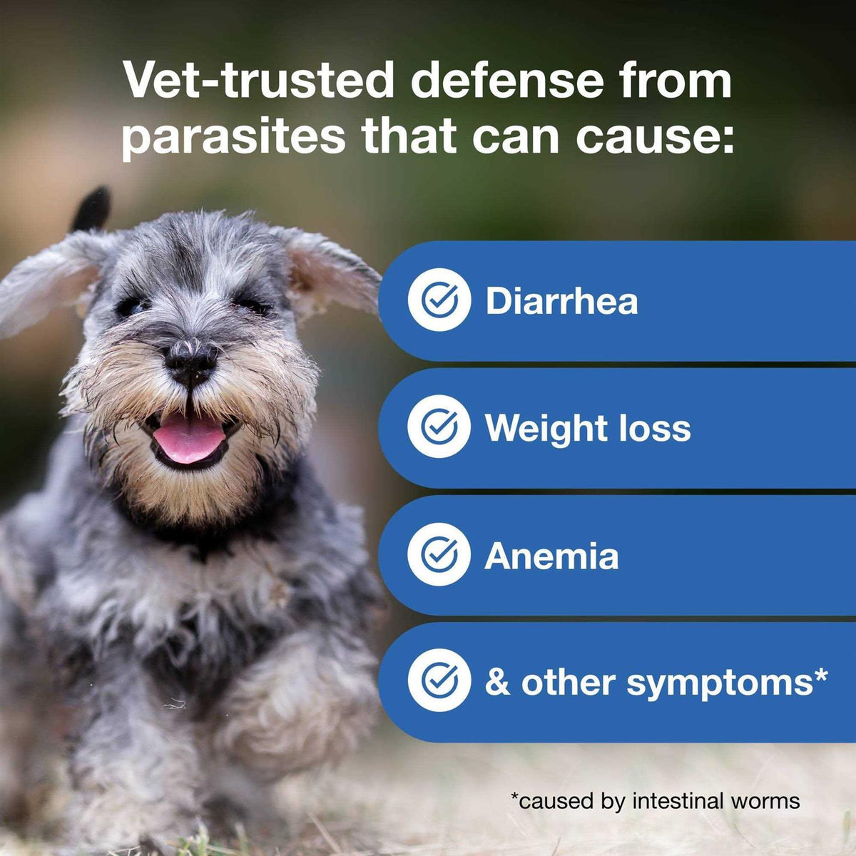 Chewable for Dogs H365790