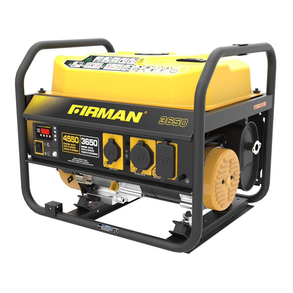 Portable Gas Powered Generator 3650/4550 Watt P785