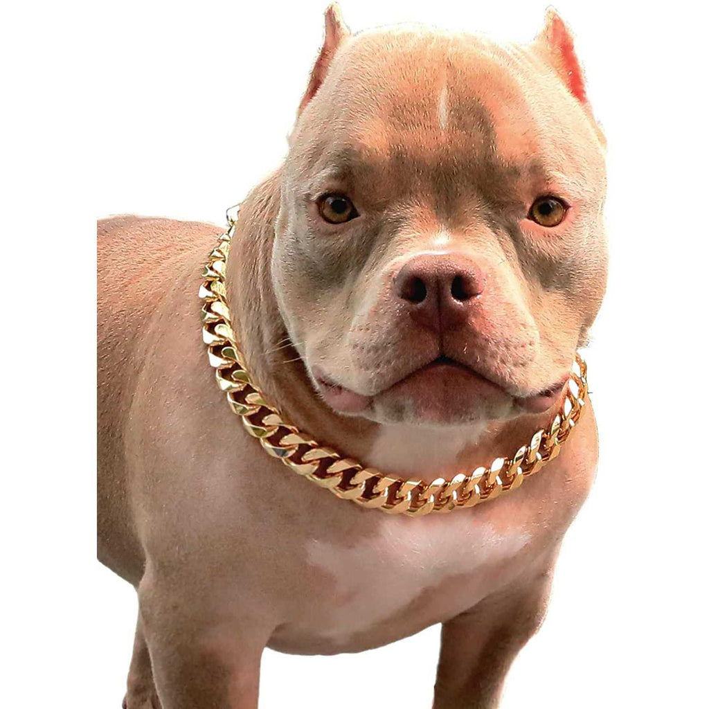 Gold Chain Cuban Link Dog Collar L3955
