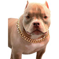 Gold Chain Cuban Link Dog Collar L3955