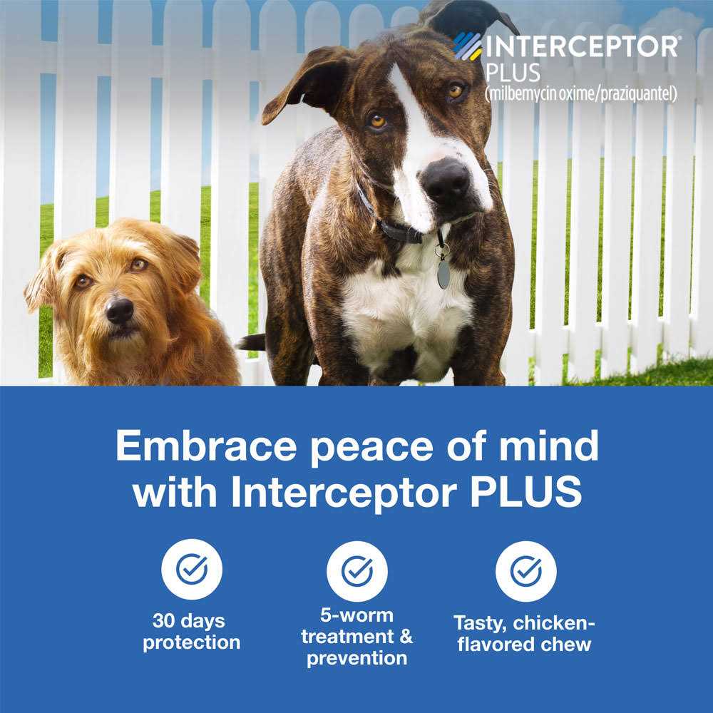 Interceptor Plus for Dogs C377905