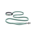 Leash Y390503