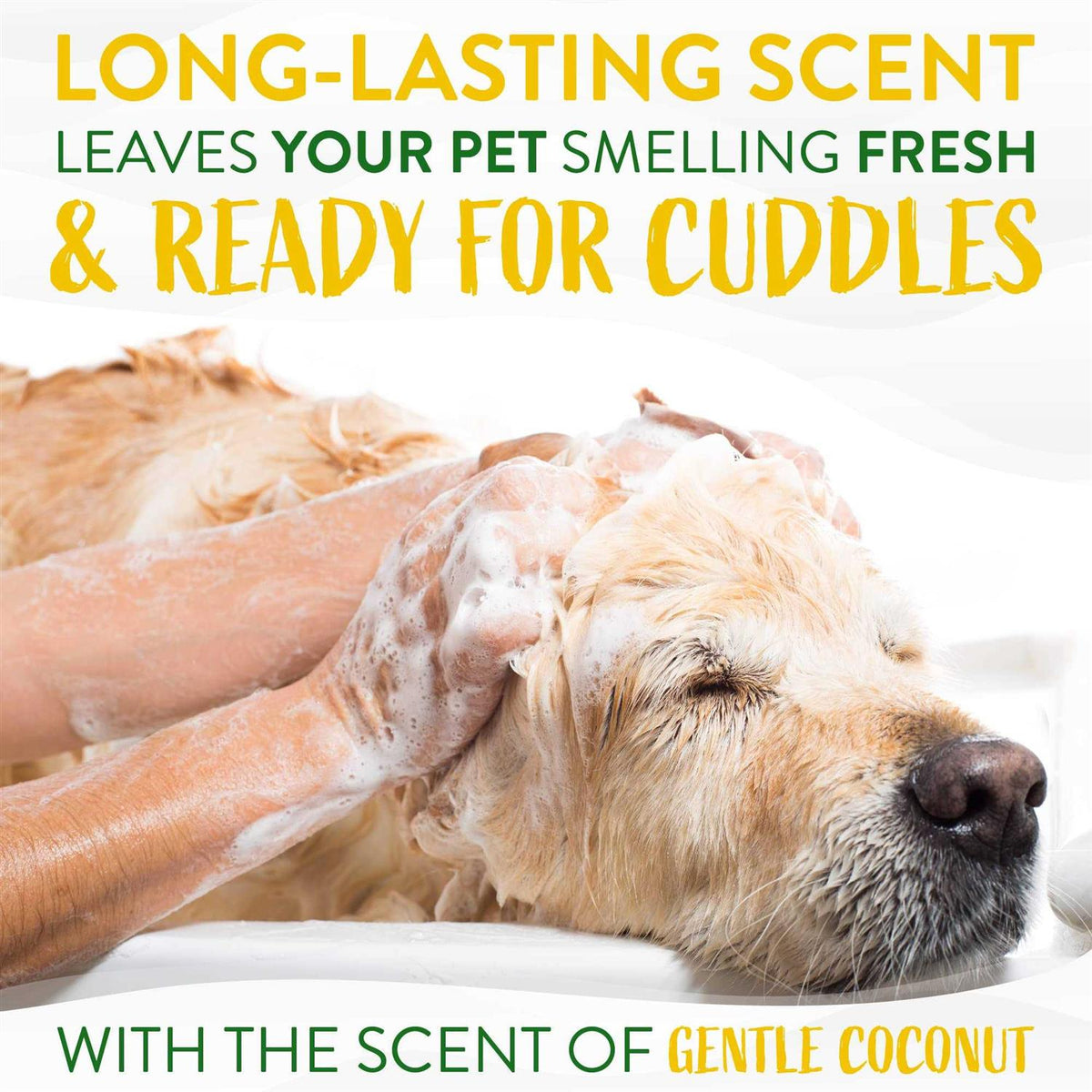 Coconut Puppy Shampoo S120003