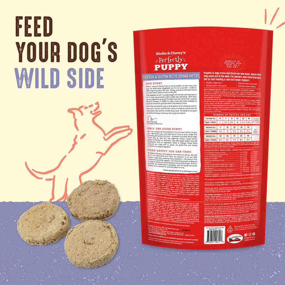 Freeze-Dried Raw Dog Food Salmon Patties J1205