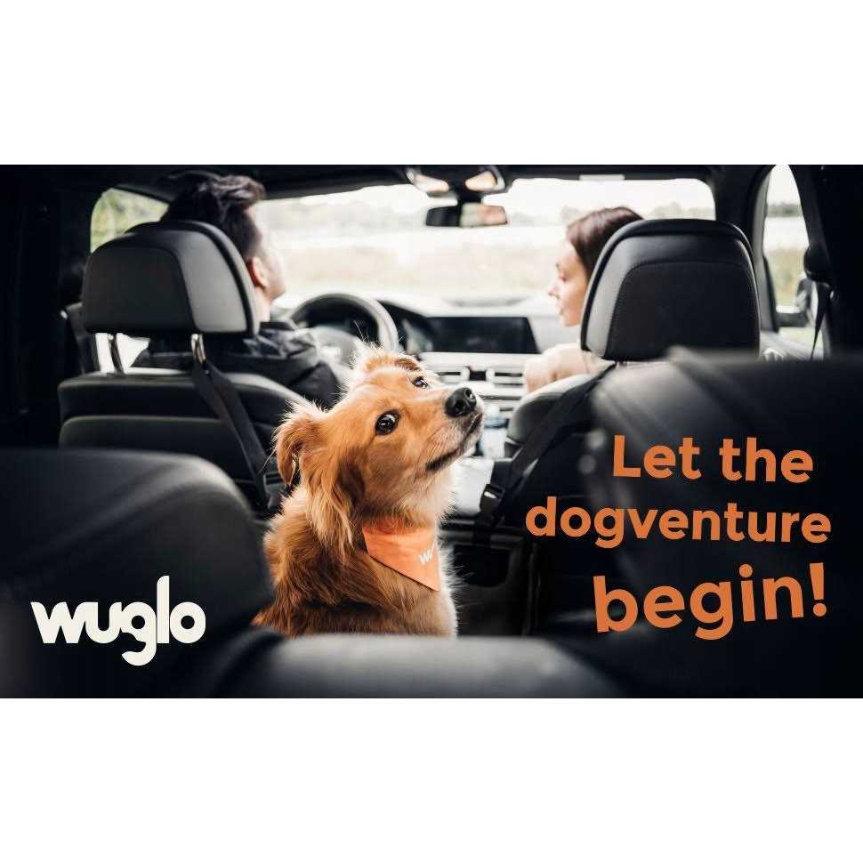 Extra Stable Dog Car Seat with 4 Fastening Straps J6863