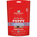 Freeze-Dried Raw Dog Food Salmon Patties J1205