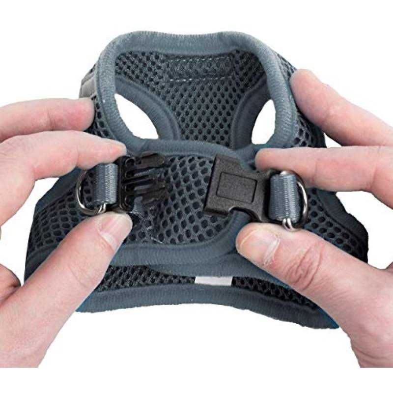 Step in Dog Harness for Small Dogs No Pull W73479