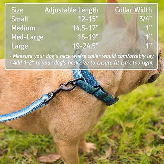 Patterned Fabric Martingale Dog Collar Q443