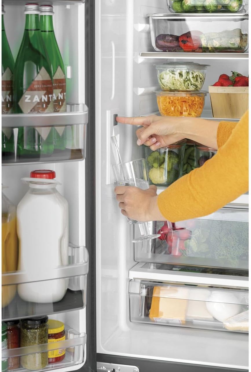 18.6 cu. ft. French Door Refrigerator in Stainless Steel D6493