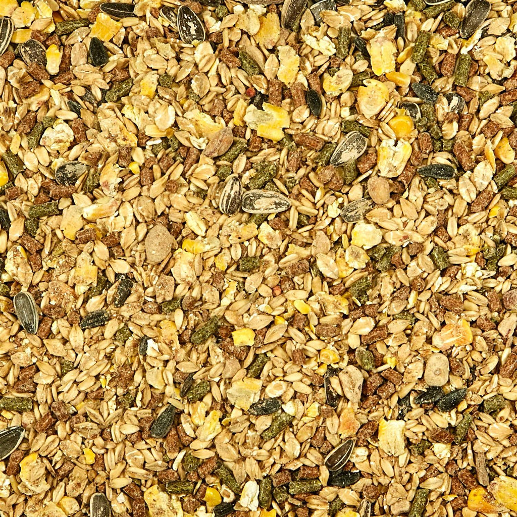 Mouse Rat Food Y13917