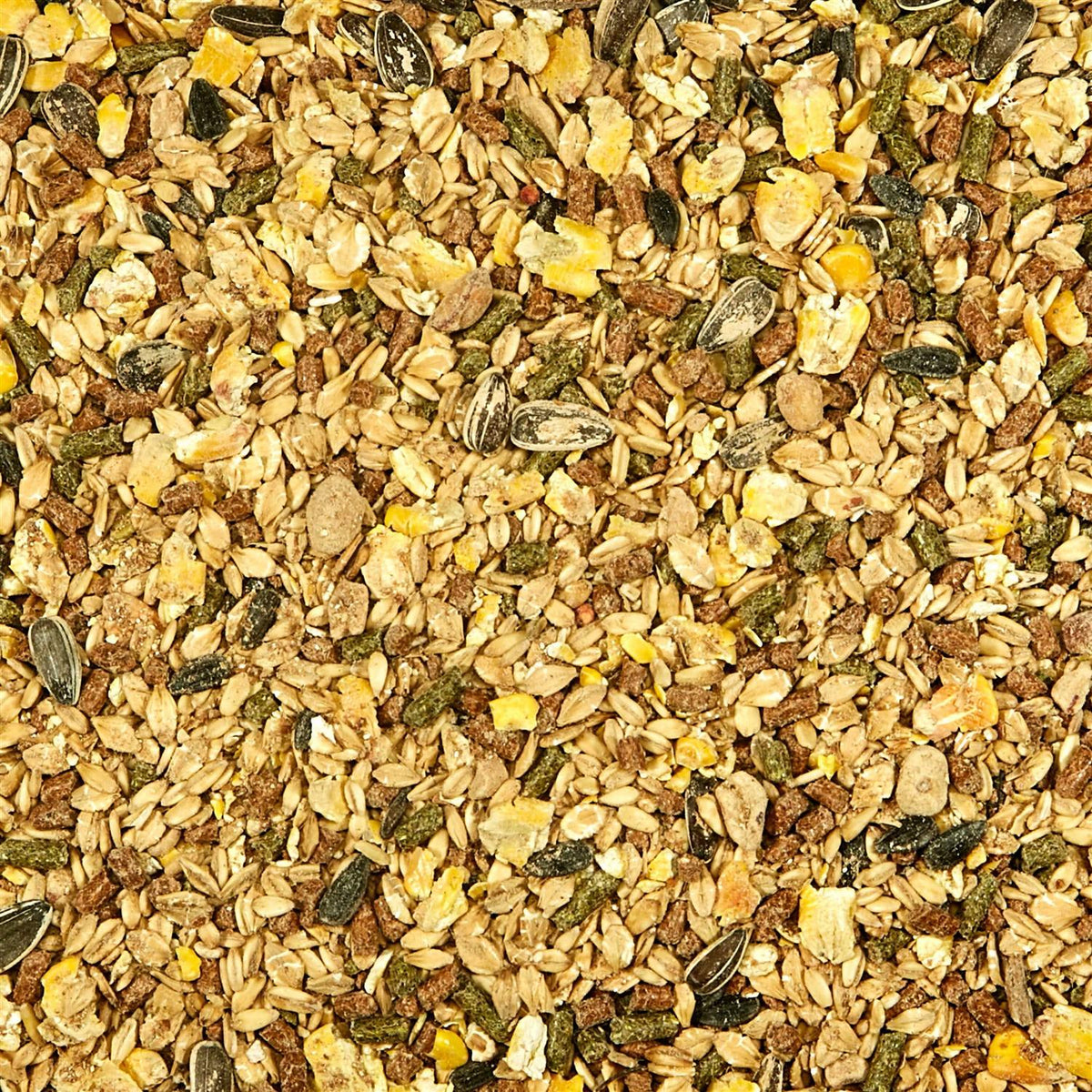 Mouse Rat Food Y13917