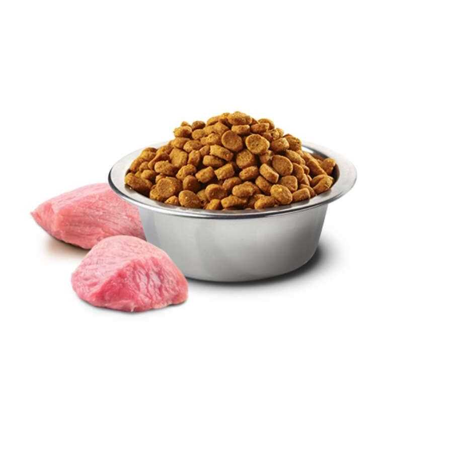 Grain-Free Dry Dog Food S8397