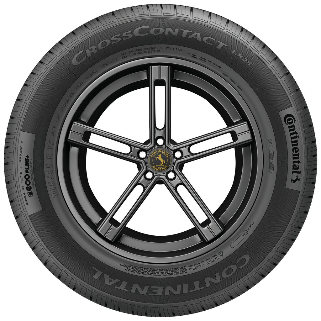 All Season 245/65R17 107T SUV/Crossover Tire Q145438