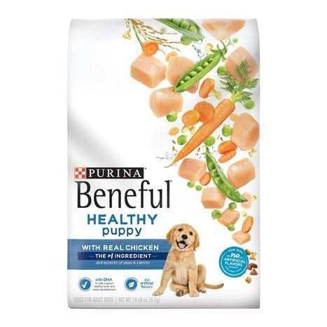 Chicken Dry Dog Food X516460