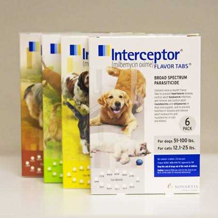 Chewable Tablet P2366