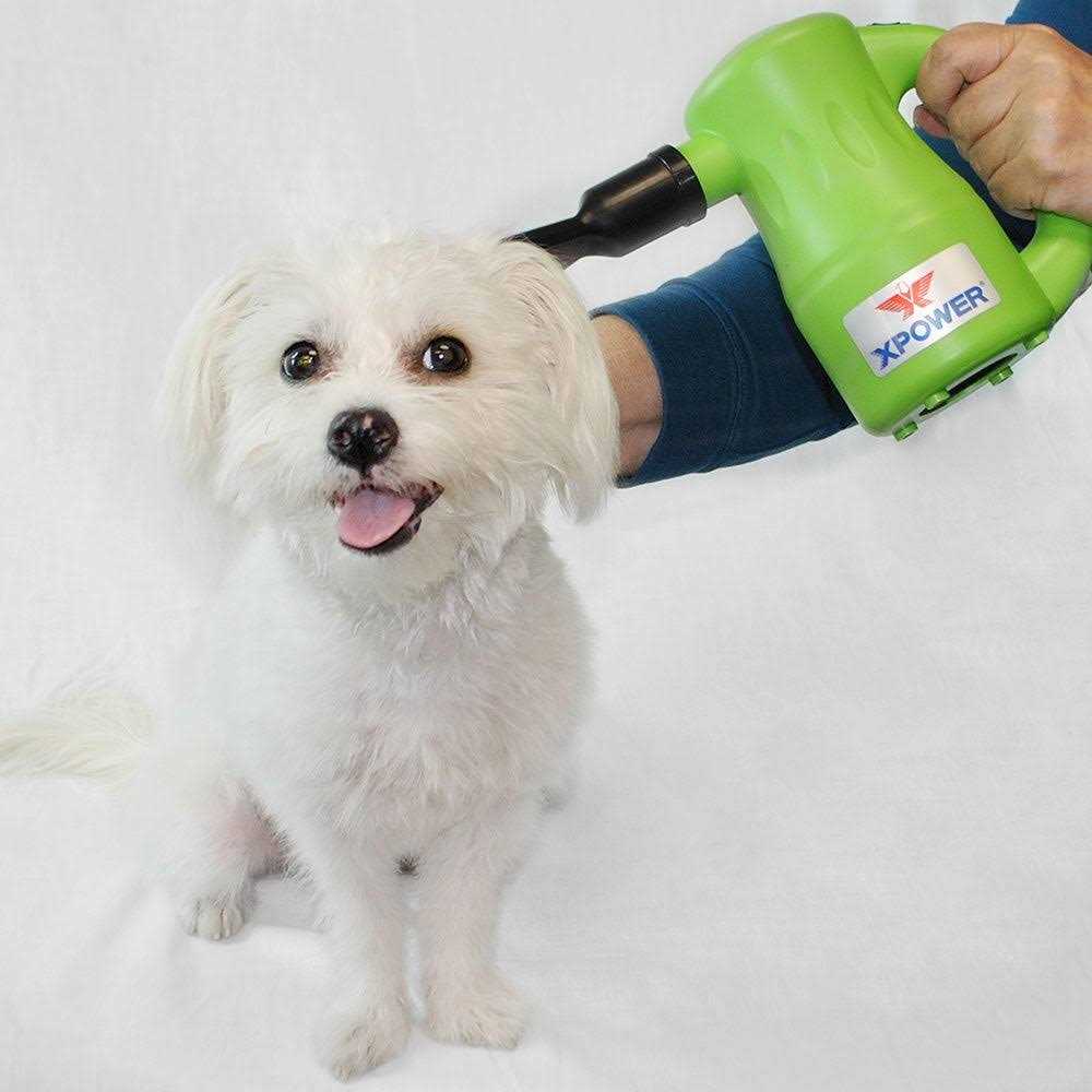 Multipurpose Pet Dryer T797