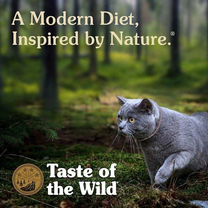 Cat Food B8287