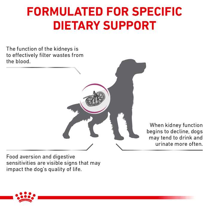 Veterinary Diet Renal Support Dry Dog Food D2356