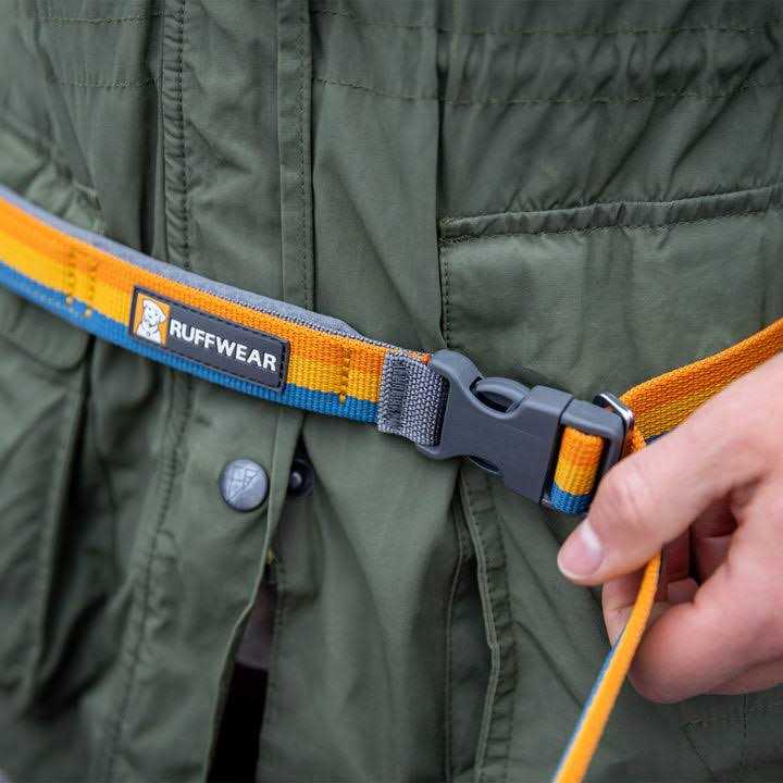 Leash Y390503