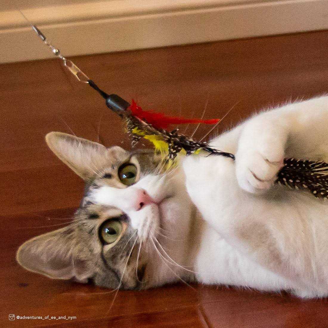 Telescoping Cat Toy V356