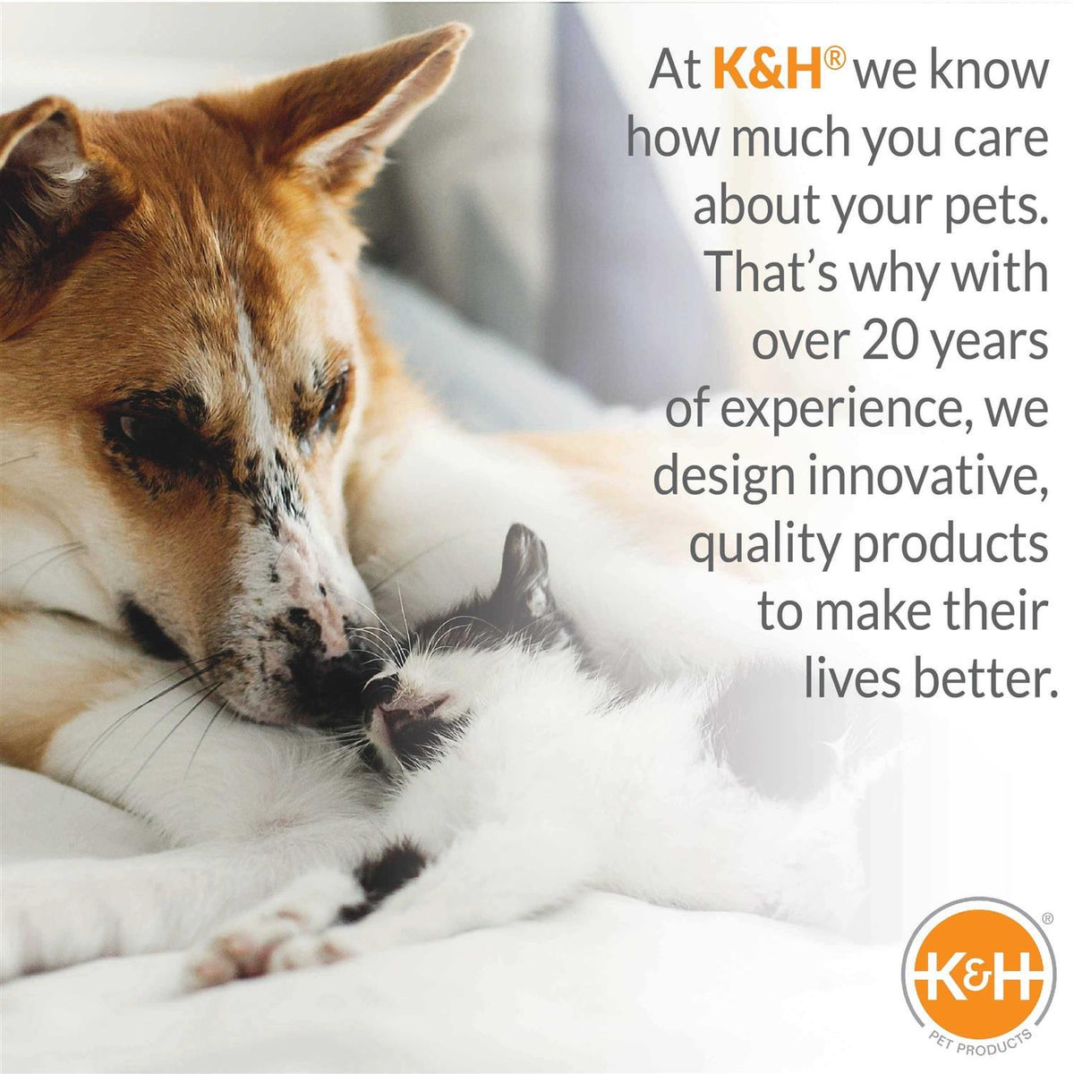 Heated Pet Bed with Bone Pillow P756