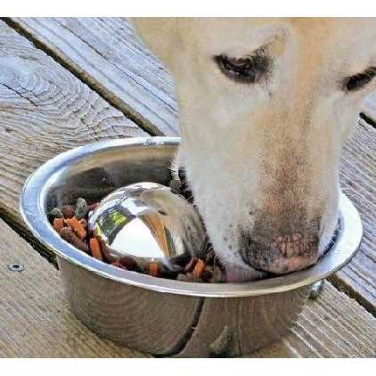 Dog Hog B137