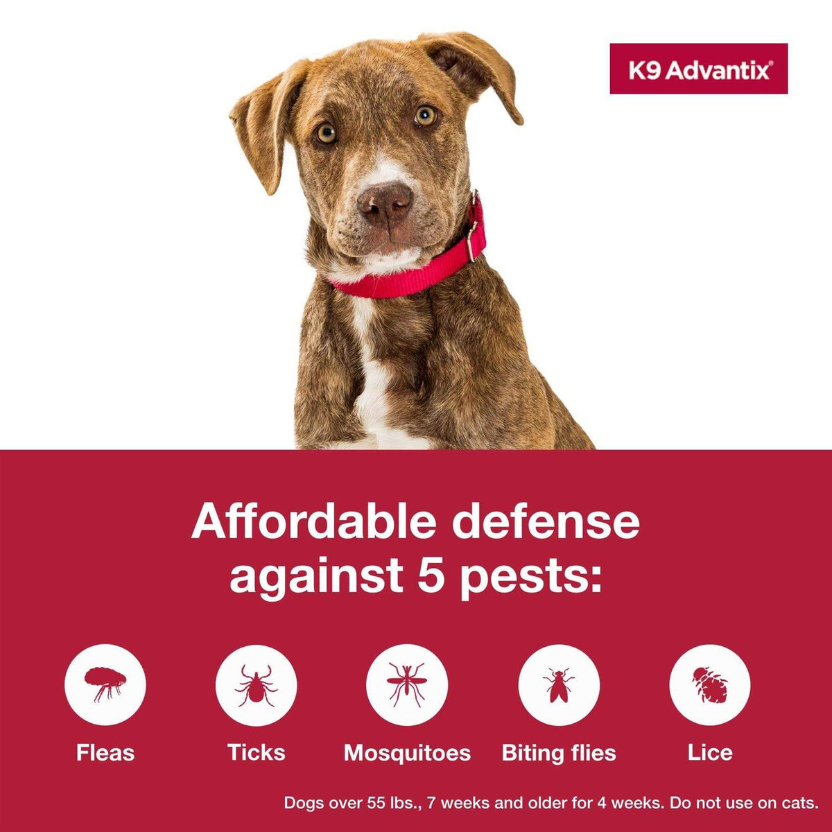 Flea Tick Mosquito Prevention for Extra Large Dogs H250