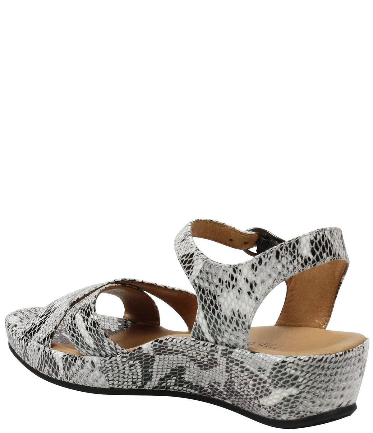 Black/White Snake 8 Q193919
