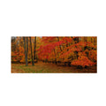 Canvas Art I278