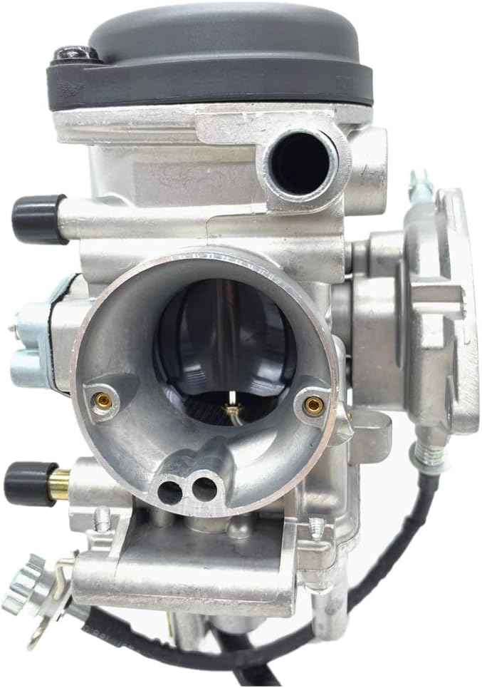 Carburetor Pack of 2 Y819959
