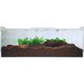 Acrylic Terrarium Extra Large Flat H35451