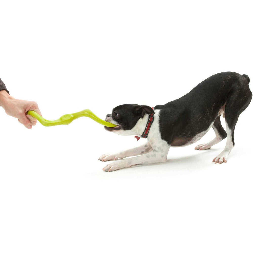 Dog Toy Y505595