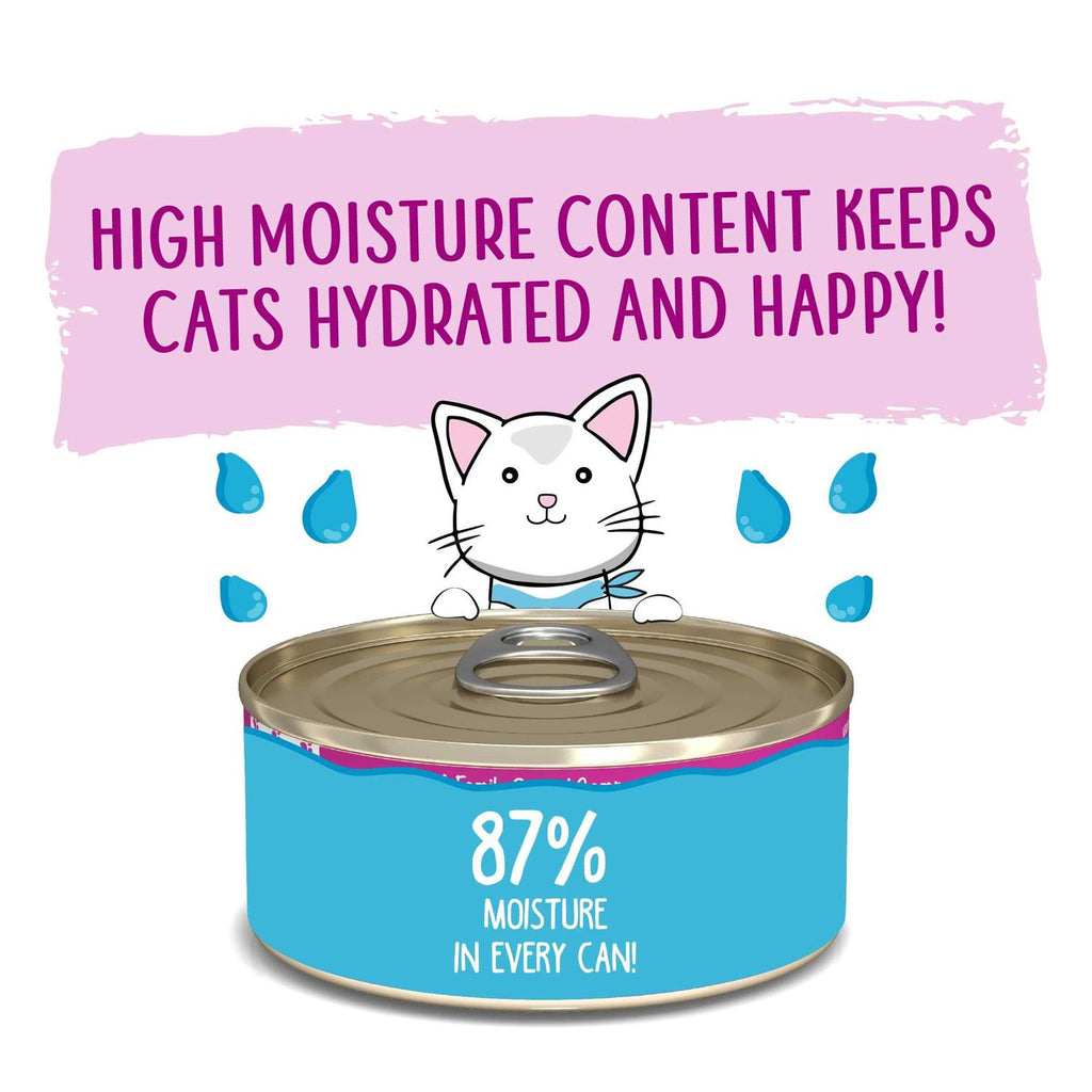 Cat Pate K939355