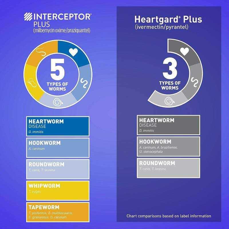 Interceptor Plus for Dogs C377905