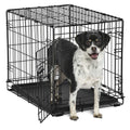 Single-Door Dog Crate K96909